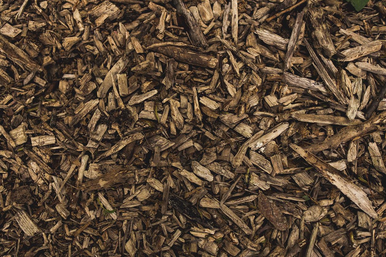 Bark Chip