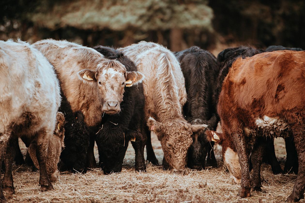 Agricultural Bedding